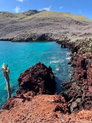 Land and sea on Galapagos , Ecuador