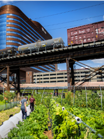 resilient food systems