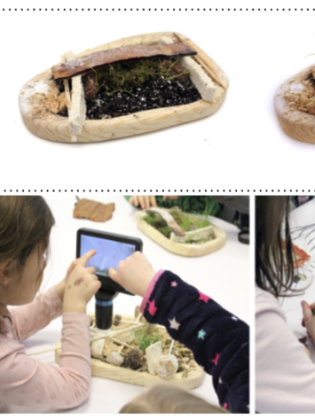 biome building and science-art based analysis in preK classrooms